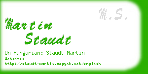 martin staudt business card